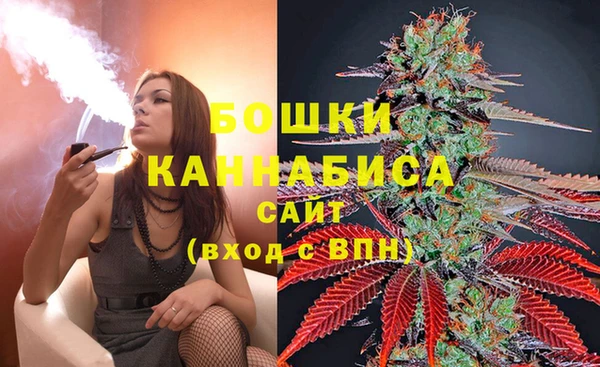 MESCALINE Аркадак